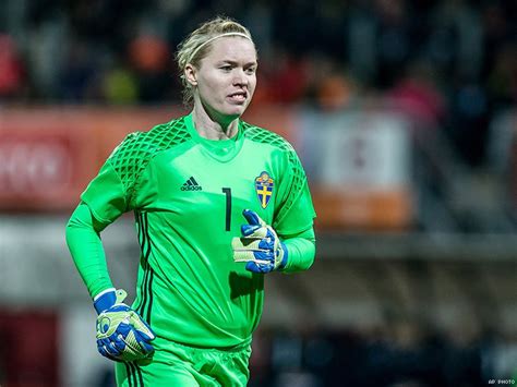 Maybe you would like to learn more about one of these? 14-hedvig-lindahl-shutterstock_393329743 - GMag