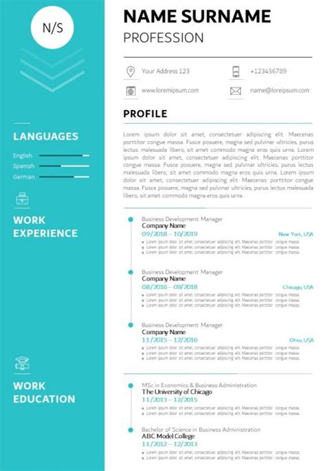 Professional Cv Sample Template With Profile Summary Powerpoint