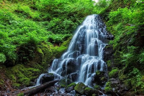 Stones Waterfall Forest Beautiful Views Wallpapers 2400x1600