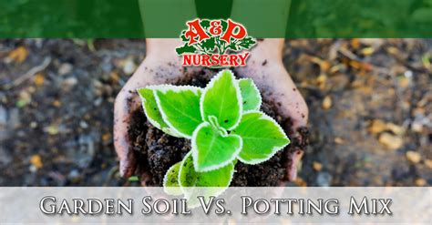 The main rule of thumb is to use garden soils for outdoor garden and flower planting beds. Garden Soil Vs. Potting Mix | Differences - A&P Nursery