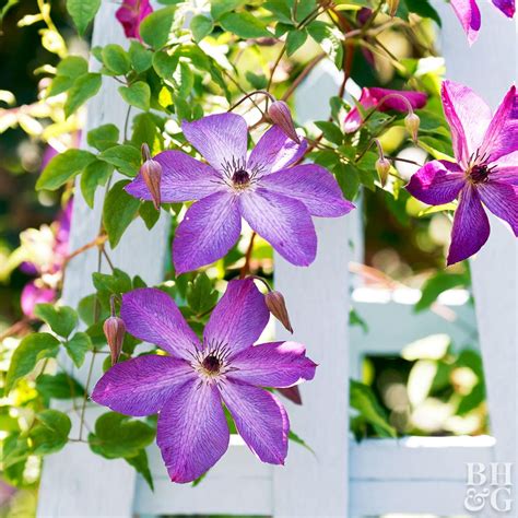 Check spelling or type a new query. See How This Small Garden Transformed Into an Urban ...