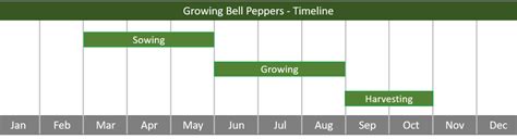 How To Grow Bell Peppers Step By Step Beginners Guide Gp