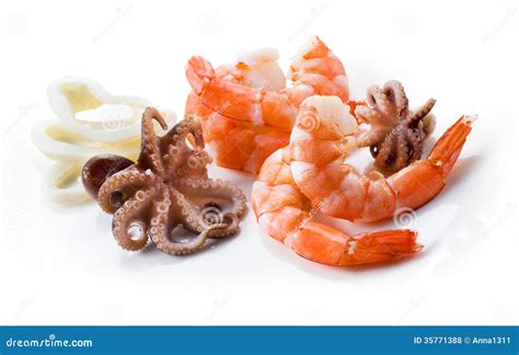 Shrimps Octopus And Squid Seafood Isolated Royalty Free Stock Photos