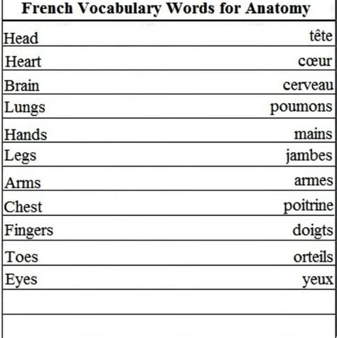 Pin by Just A Simple Fangirl on Learning French | Basic french words ...