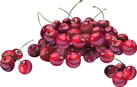 Cherry Clipart Cranberry Cherry Cranberry Transparent Free For