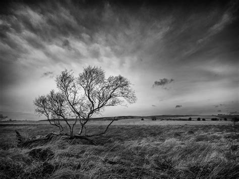 15 Amazing Black And White Landscape Photos That Will Leave You In Awe