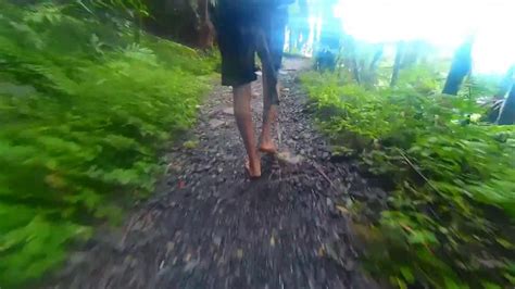 Walking Barefoot Through The Yunque Rainforest In Puerto Rico Youtube
