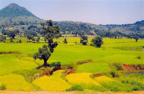 A Complete Tour Guide To Araku Valley Hill Station Trans India Travels