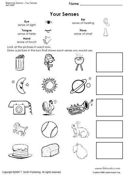 Worksheets that teach alphabet skills, counting, phonics, shapes, handwriting, and basic reading. Beginning Science Unit about Your Five Senses | Science ...