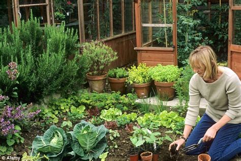 30 Minutes Gardening Session Found To Instantly Reduce Stress And