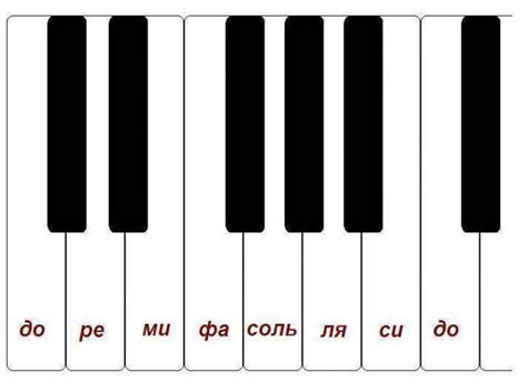 Клавиши пианино и расположение нот на них