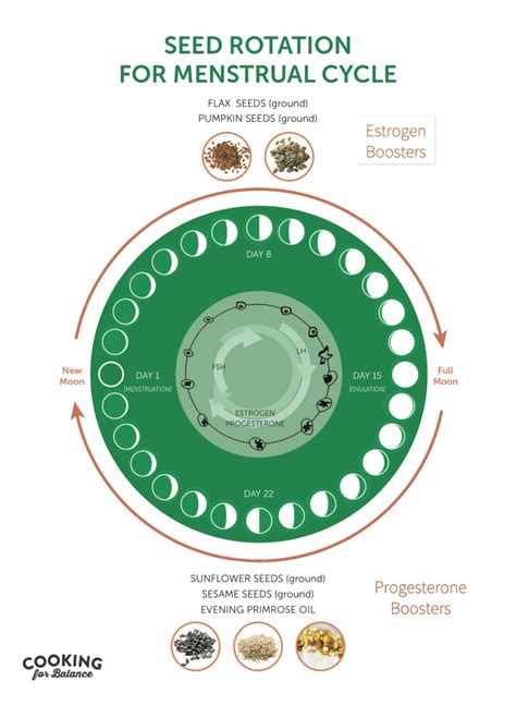 How To Use Seed Cycling To Balance Menopausal Hormones Dr Jolene