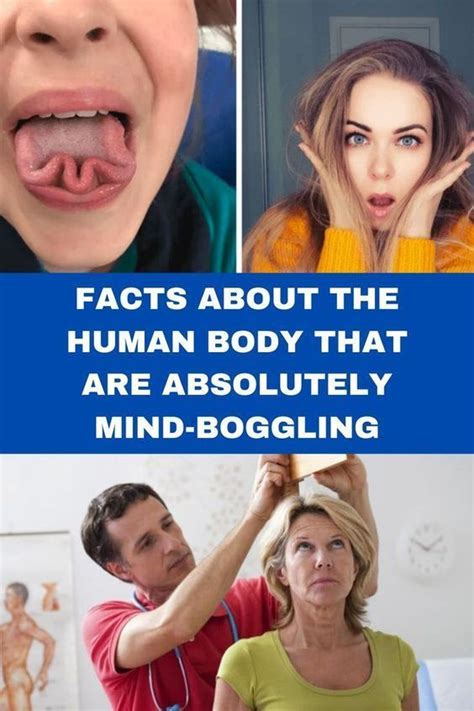 Facts About The Human Body That Are Absolutely Mind Boggling Shanghai