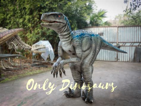 Realistic Raptor Halloween Costumes Blue Only Dinosaurs