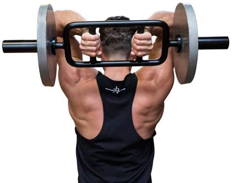 The 5 Best Tricep Bars Hammer Curl Bars To Buy