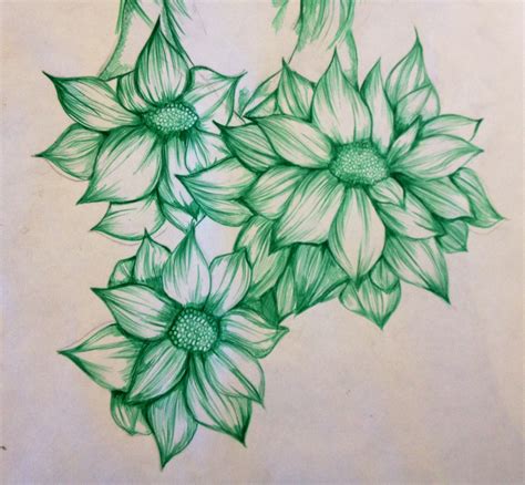 Flower Illustration Created With Green Biro Pen Biro Drawing Natural