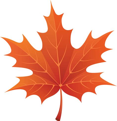 Orange Maple Leaf Clipart Free Image Download