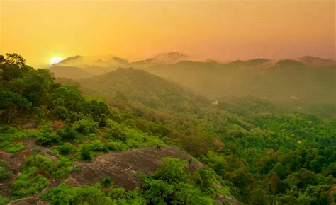 From Dawn Till Dusk: A Day in the Life of Couples at Our Munnar Resort