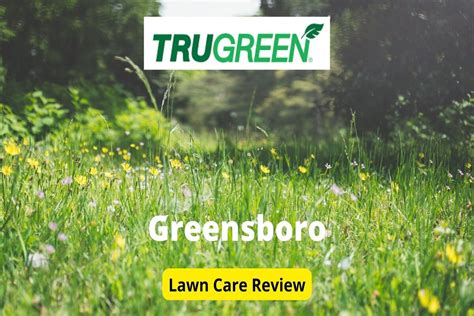 Trugreen Lawn Care In Greensboro Review Lawnstarter