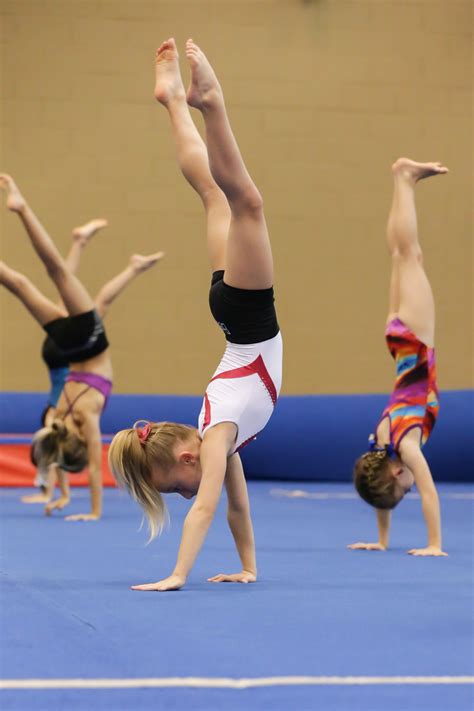 Handstands In Gymnastics Delta Gymnastics Brisbane Gold Coast