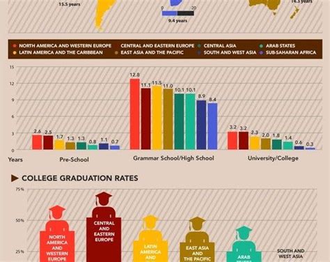 Education Levels Around The World Infographic Education Level