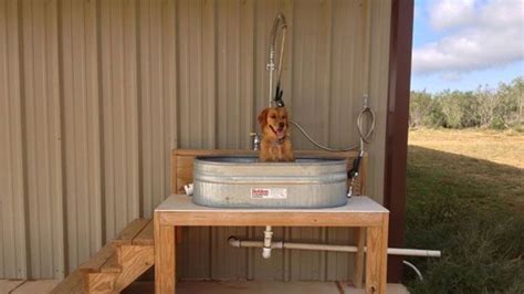 It is a great way to check for skin issues and an excellent means to bond with your pet. 10 Best Outdoor Dog Baths | Diy dog kennel, Dog rooms, Dog ...