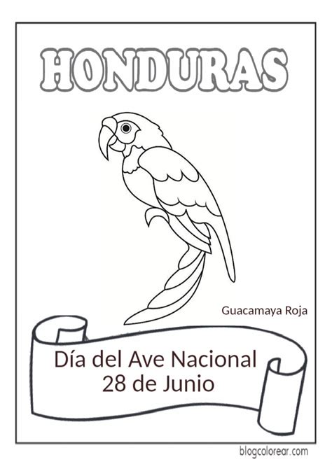 Colorear D A Del Ave Nacional De Honduras De Junio Colorear Dibujos Infantiles