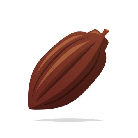 840 Cartoon Of The Cocoa Beans Stock Illustrations Royalty Free