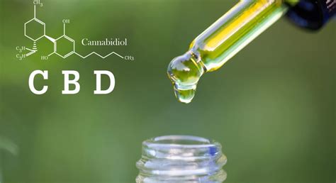 What Is Cbd Comprehensive Definition