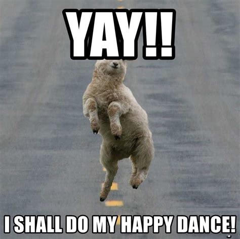 Happy Dance Meme Discover More Interesting Animal Cat Crazy Cute