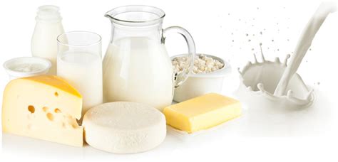 However, most people only stick to a few different dairy foods. Liquid Filling Machine Manufacturers, Liquid Dairy ...