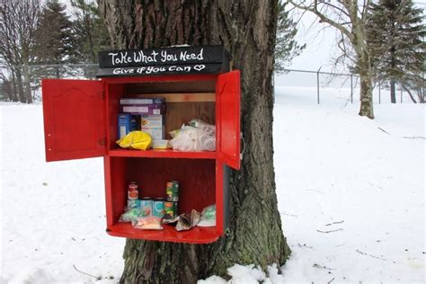 Outdoor Food Pantries Pop Up In Cape Breton Amid Pandemic Cbc News