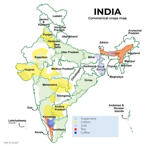 Major Food Crops In India Geeksforgeeks