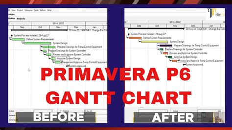 Primavera P6 Gantt Chart Colouring Episode 1 YouTube