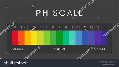 Ph Value Scale Chart Acidalkaline Solution Stock Vector Royalty Free