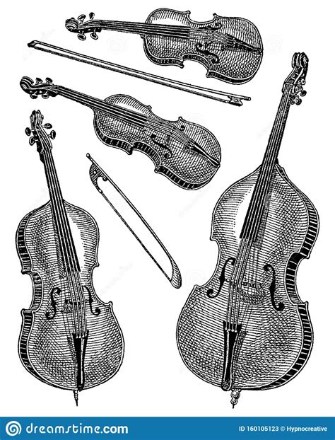 Vintage Engraving Of Violins Vektor Illustrationer Illustration Av