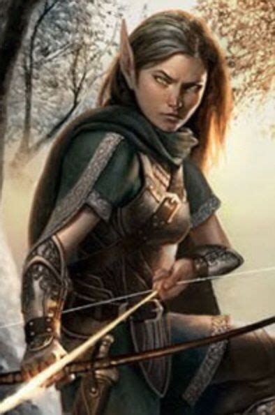 Pin By Teagan Rogers On Elves Elf Warrior Elf Elves Fantasy