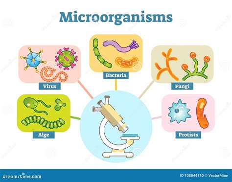 Microorganisms Illustration Vector Set 108044110