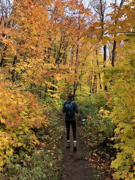 Fall Colors In Minnesota Four Places To Explore And How To Find Peak