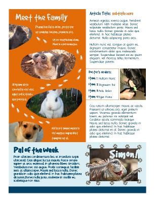 This makes adopting a pet easy and safe for those residents who are practicing social distancing at home. Inside paged 1. Animal or pet newsletter. Great for animal ...