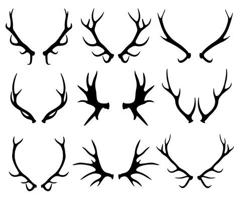 Antlers Deer And Reindeer Horns Vector Silhouettes Isolated On White
