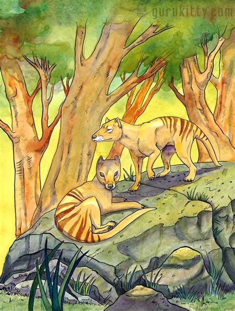 Thylacine By Jeriweaver On Deviantart