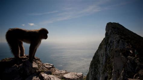 Britain Is Not Going To Go To War With Spain Over Gibraltar