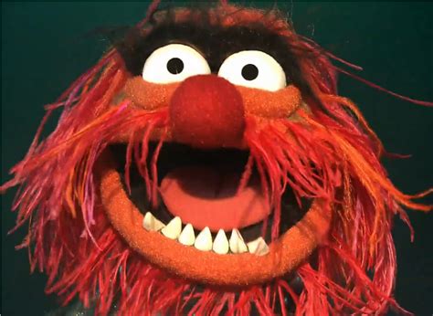 Youre Favorite Least Favorite Character Designs Muppet Central Forum