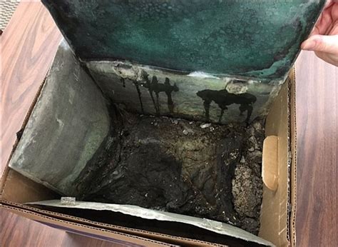 Confederate Time Capsule Found In Kentucky Relics Were Buried In 1895