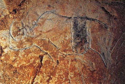 Looking For A Good Woolly Rhino Cave Painting Image General Fossil