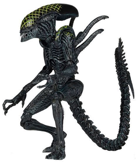 Discontinued Aliens 7″ Scale Action Figures Series 7 Assortment