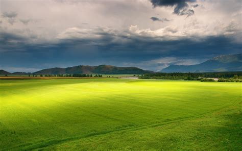 nature, Field, Landscape Wallpapers HD / Desktop and Mobile Backgrounds