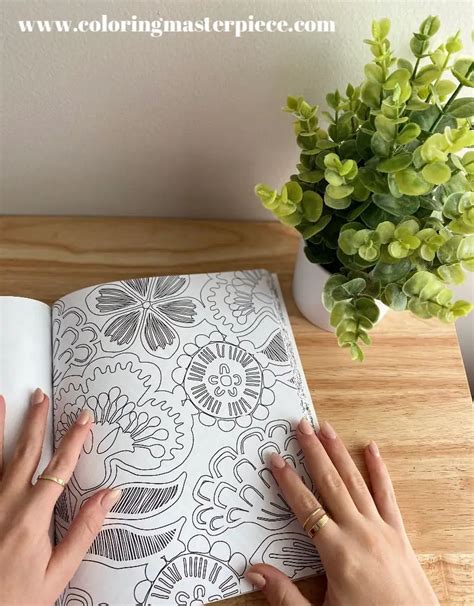 Adult Coloring For Beginners Overview Beginners Start Here Adult