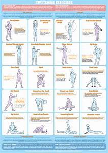 Gallery Of 2 New Total Gym Exercise Wall Chart Poster Fitness Wall